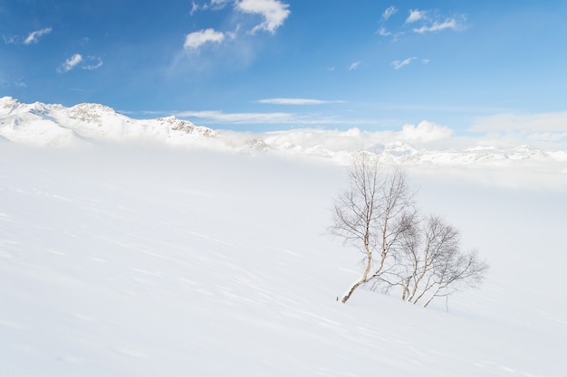 Ehrliche alpine Umgebung