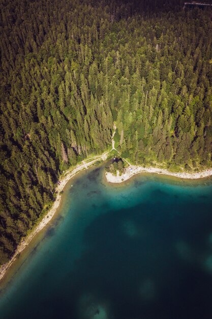 Eibsee mit dem Wald