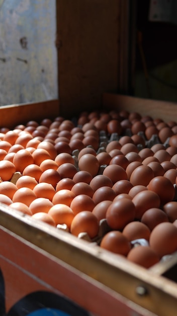 Eier auf dem traditionellen Markt