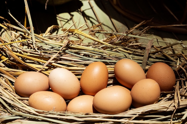 Eier auf Reisblättern sind förderlich für den Körper.