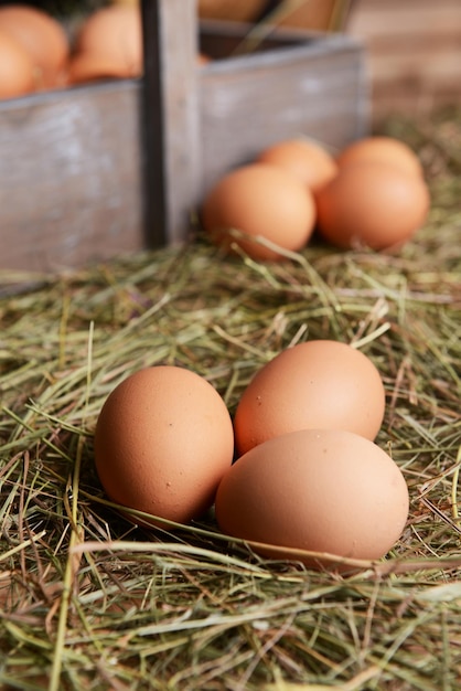 Eier auf Tischnahaufnahme