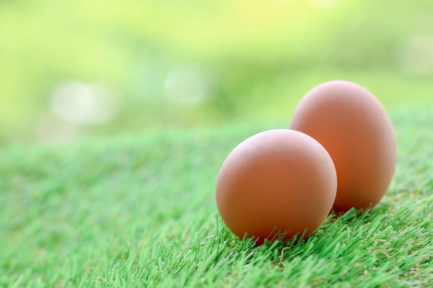 Foto eier im grünen gras auf dem grün, verwischt