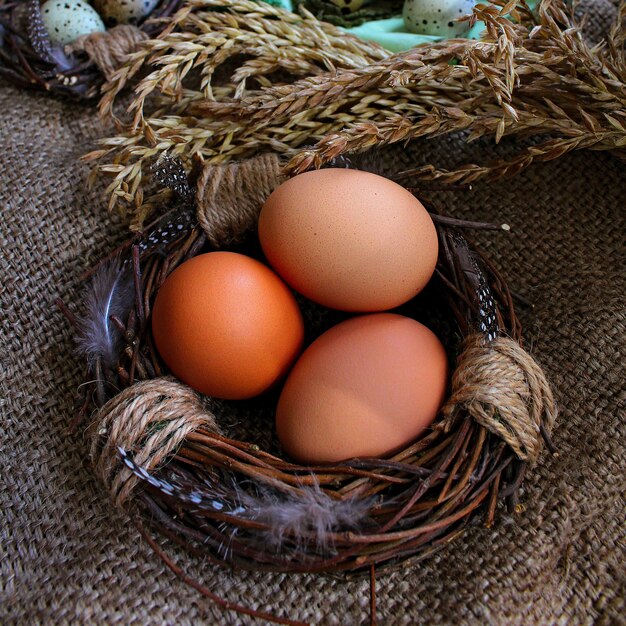 Eier im Nest von Ostern