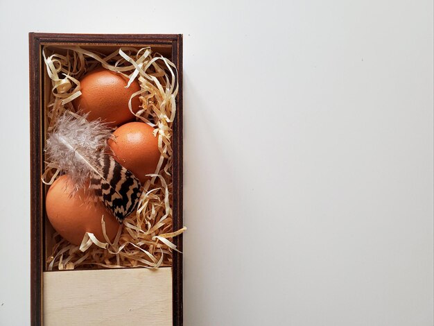 Eier und Federn in einem Nest in einer Holzkiste Frohe Ostern Ostereier gesunde Bio-Lebensmittel