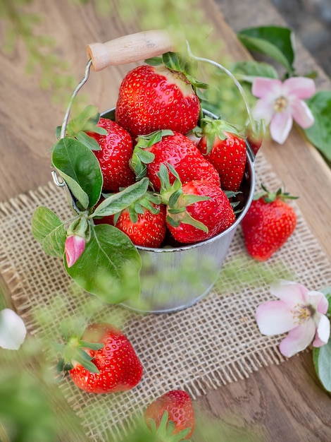 Eimer mit Erdbeeren auf der Natur