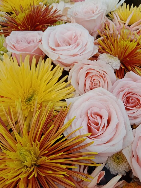 Foto eimerblumen schönheit der pflanzen