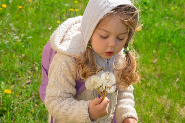 Ein 3-jähriges Mädchen spielt an einem sonnigen Frühlingstag mit Löwenzahn