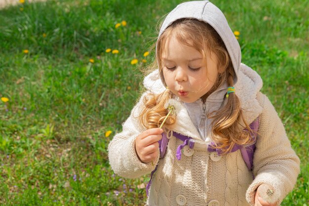 Ein 3-jähriges Mädchen spielt an einem sonnigen Frühlingstag mit Löwenzahn