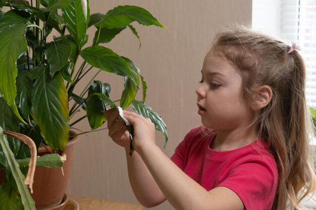 Ein 4-jähriges Mädchen kümmert sich um Heimpflanzen Heimpflanzen aus der Kindheit Konzept