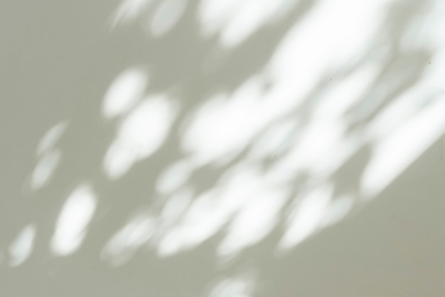 Ein abstrakter Schwarz-Weiß-Schatten an der Wand, sauberes Minimalismus-Konzept