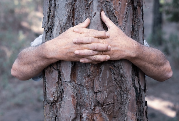 Ein älterer erwachsener Mann, der einen Baum im Wald umarmt - Liebe für Natur und Natur - Konzept des Tages der Erde. Menschen retten den Planeten vor Abholzung