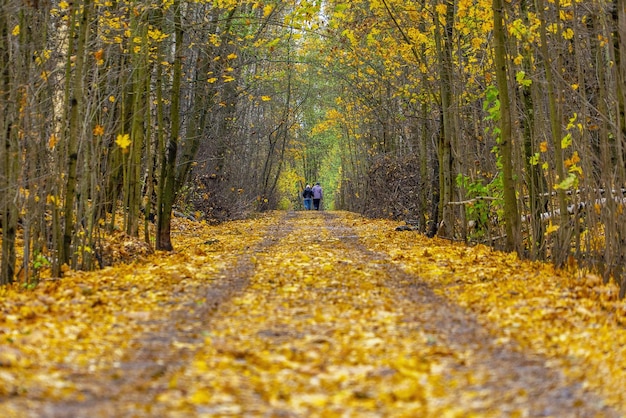 Ein älteres Ehepaar geht eine Herbststraße entlang