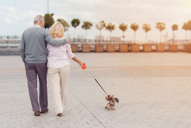 Ein älteres Ehepaar geht mit ihrem kleinen Hund spazieren.