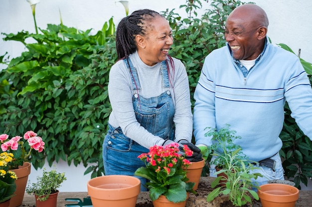 Ein älteres Paar, das zu Hause eine Gartenarbeit durchführt, um seinen Ruhestand zu genießen