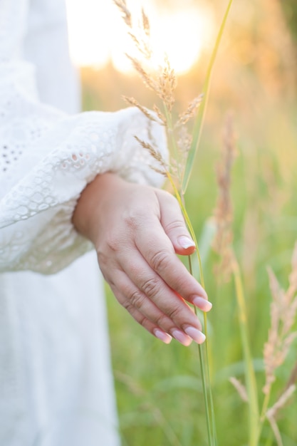 Ein agronomen des jungen mädchens berührt mit ihrer hand goldene ährchen von reifem weizennahaufnahme.