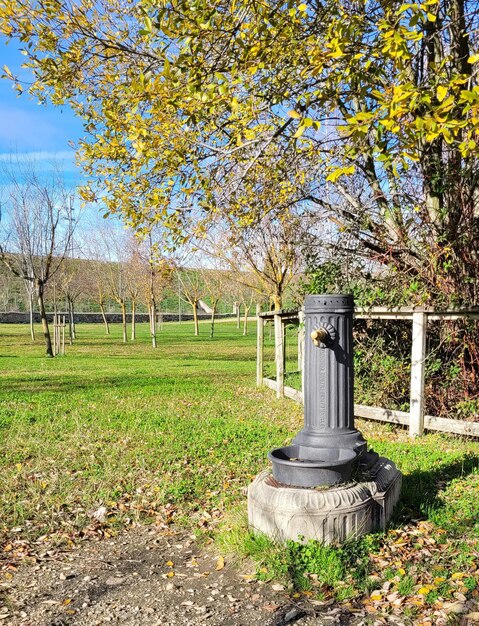 Foto ein alter brunnen in einem freipark auf dem land