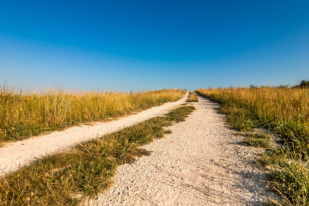 Foto ein alter feldweg über die felder