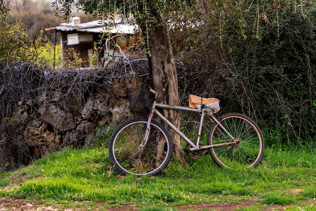 Ein altes Fahrrad an einem Baum gelehnt