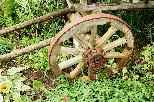 Ein altes hölzernes RadTeil des Karrens Ein uraltes Fortbewegungsmittel mit Hilfe von Pferden