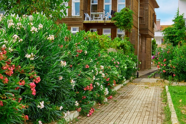 Ein altes vierstöckiges Haus mit einem blühenden grünen Garten