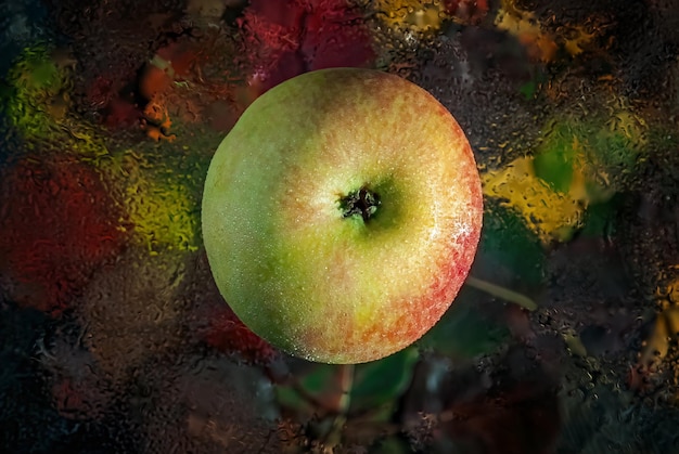 Ein Apfel in der Mitte des Rahmens auf einem verschwommenen Hintergrund aus farbigem Herbstlaub in Tropfen