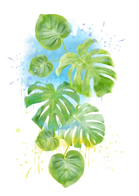 Ein Aquarell einer Monstera-Pflanze