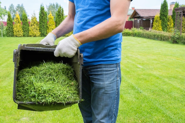 Ein Arbeiter mit einem Behälter voller geschnittenem Gras an einem sonnigen Sommertag Gartenreinigung im Hinterhof