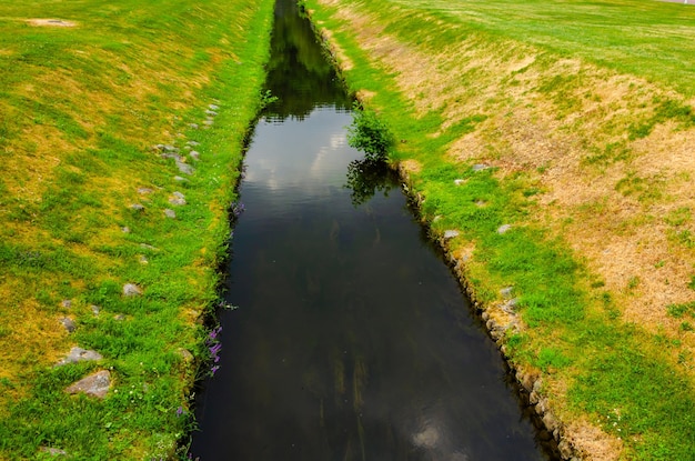 Ein Bach fließt durch ein Feld mit grünem Gras und Bäumen im Hintergrund.