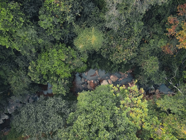 Ein Bach mit Felsen in einem tropischen Wald, von oben