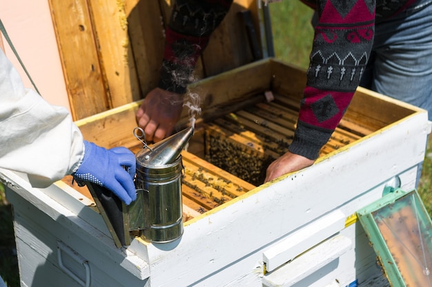 Ein Bauer auf einem Bienenstand hält Rahmen mit Wachswaben