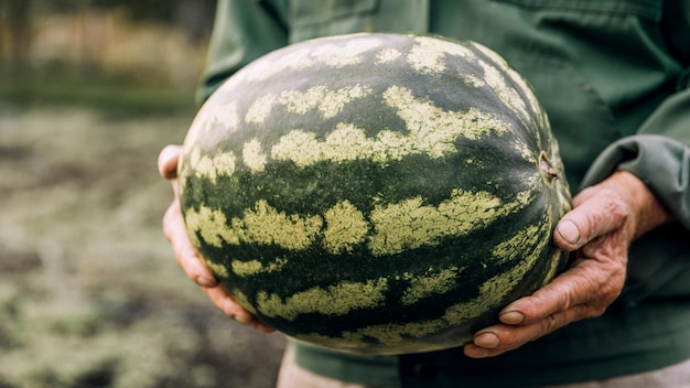 Ein Bauer hält eine frische Wassermelone. Lebensmittel, Gemüse, Landwirtschaft.