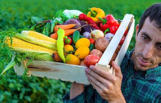 Ein Bauer hält Gemüse in den Händen. Selektiver Fokus. Essen.