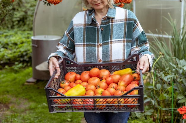 Ein Bauer hält vor dem Hintergrund eine Kiste mit Tomaten und Paprika in den Händen