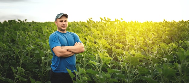 Ein Bauer steht vor dem Hintergrund eines landwirtschaftlichen Feldes mit selektivem Fokus auf Sonnenblumen