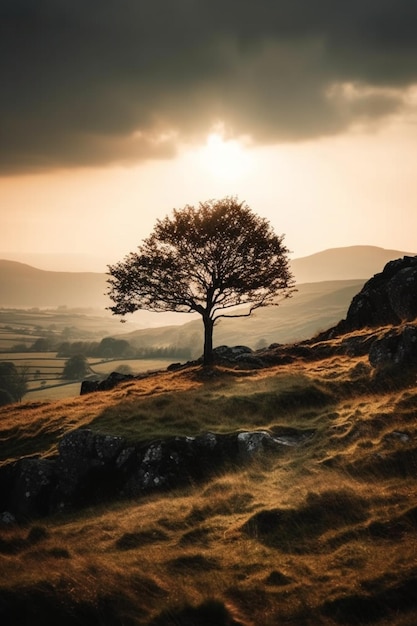 Ein Baum auf einem Hügel, hinter dem die Sonne untergeht