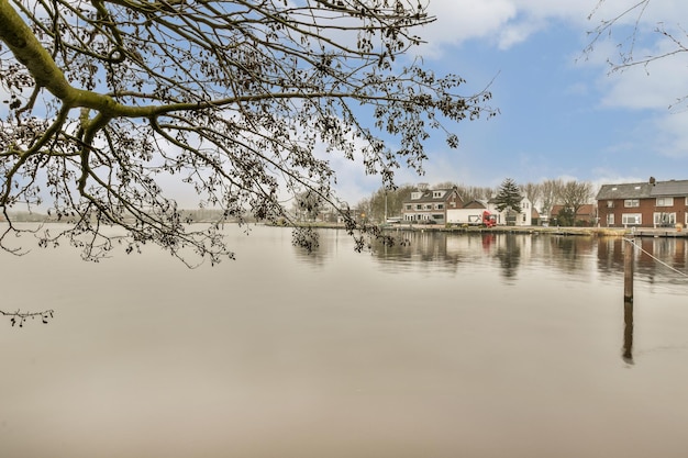 Foto ein baum hängt über einem gewässer in der nähe von häusern