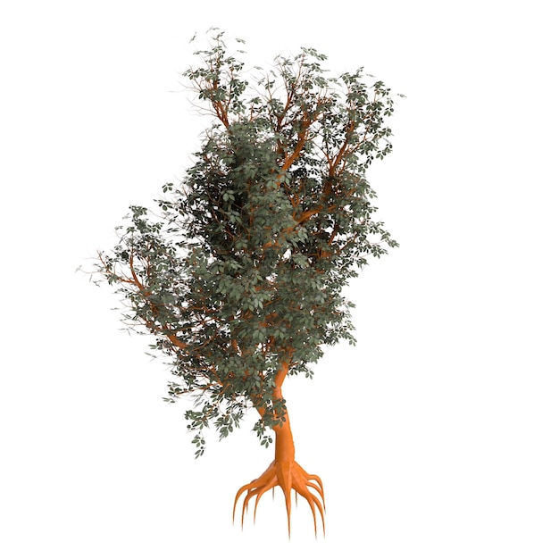 Ein Baum mit orangefarbenen Blättern und Wurzeln, auf denen das Wort „steht“.