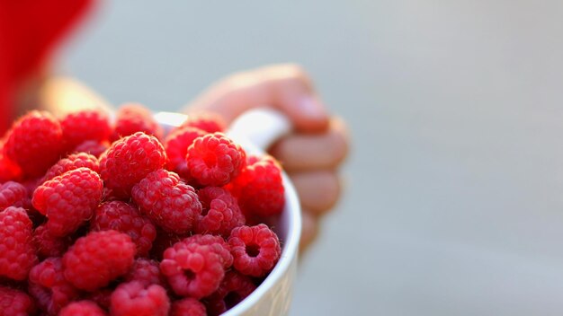 Ein Becher voller reifer Himbeeren in den Händen eines Kindes, das im Garten Himbeeren erntet