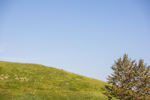 Ein Berg mit grünem Gras in Form eines Bogens mit einem Baum im Vordergrund gegen einen blauen Himmel