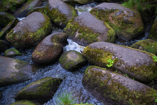 Ein Bergfluss mit riesigen Steinen mit grünem Mooswildwald der Taiga