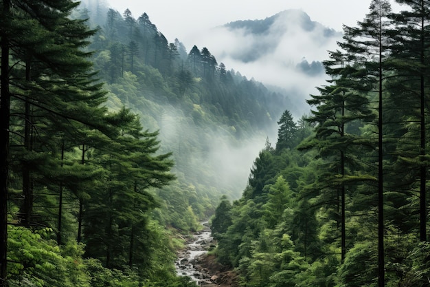 Ein Bergwald mit hohen Bäumen, Mystik und Nebel, düsterer Hintergrund, KI-generiert