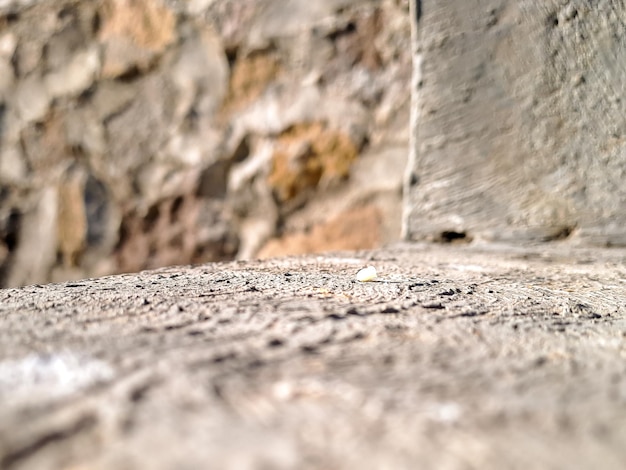 Ein Betonhintergrund ist der perfekte Weg, um Ihrem Zuhause einen Hauch von Klasse zu verleihen