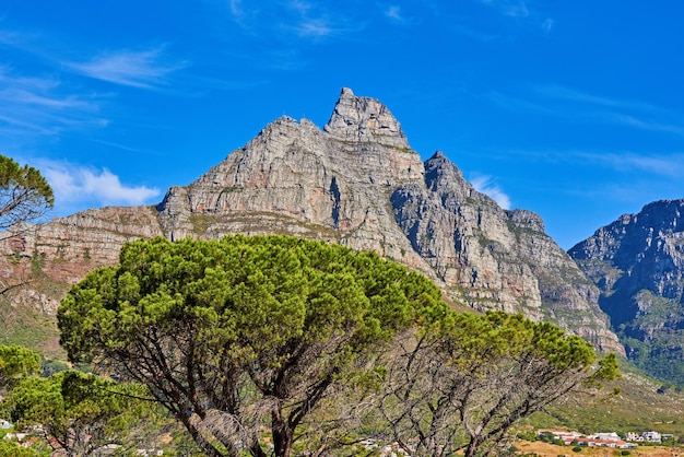 Ein Bild von unten auf den Tafelberg in Südafrika Ein wunderschönes Naturbild von einem hohen Berg, der wie ein Löwenkopf mit grünen Bäumen und einer Stadt daneben geformt ist Eine Bergkette ist zu sehen