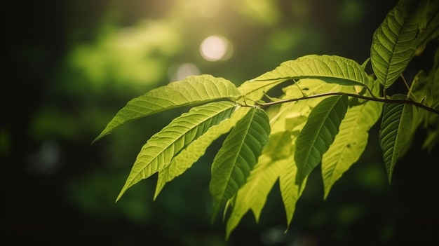 Ein Blatt, auf dem das Wort Baum steht