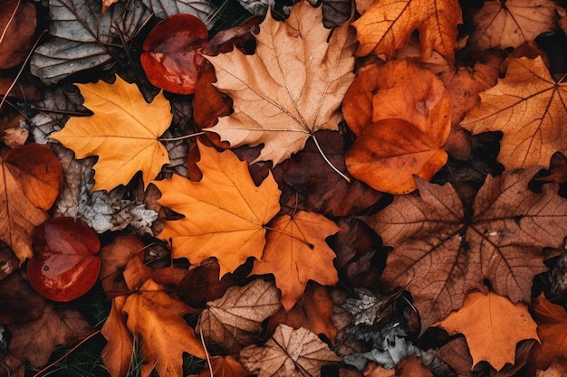 ein Blatt, das auf einem Baum ist