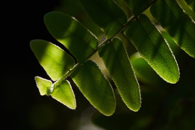 Ein Blatt mit dem Wort „darauf“