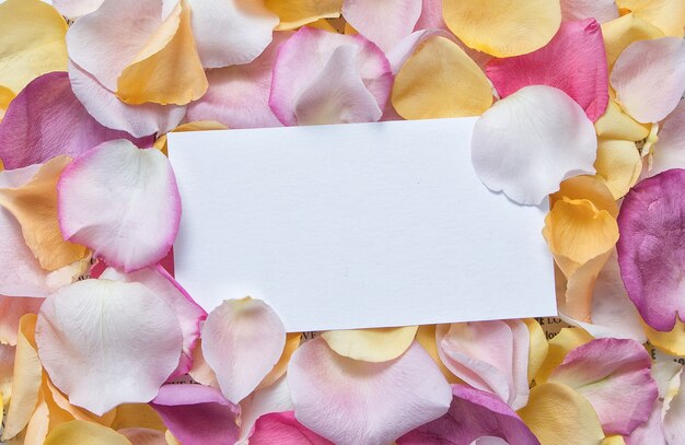 Ein Blatt Papier auf gelben und rosa Rosenblättern Platz für Text Einladungskarte Grußkarte