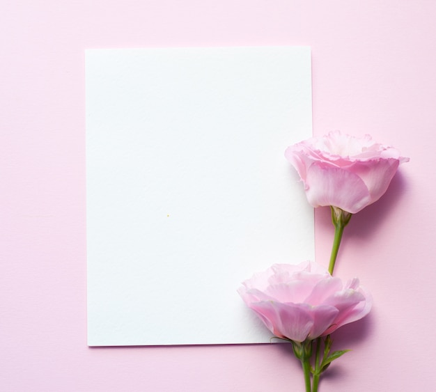 Ein Blatt Papier liegt horizontal auf rosa Papier, Blüten von Eustoma