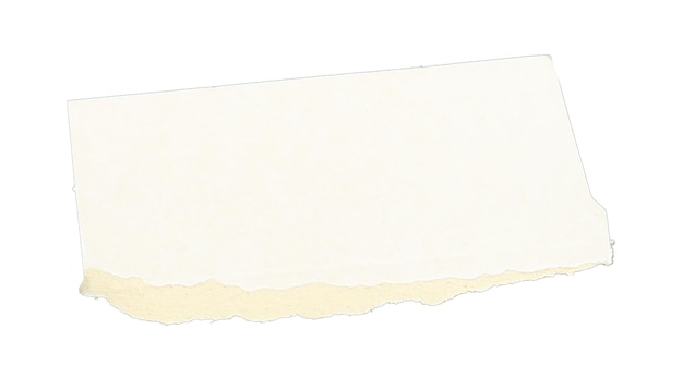 Ein Blatt Papier zerrissen in Stücke isoliert auf weißem Hintergrund