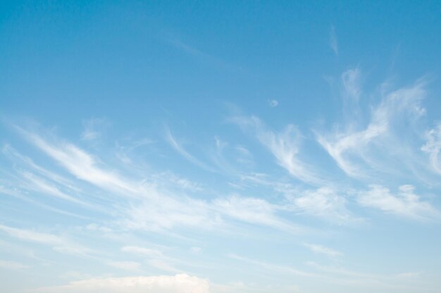 Ein blauer Himmel mit Wolken und ein Vogel, der in den Himmel fliegt.